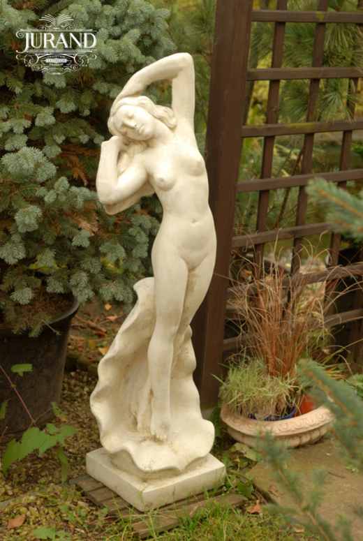 1575 Wenus w Muszli Duża