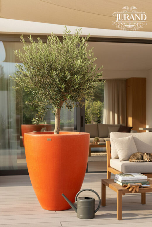 2062 Donica Lulea (2) LOGO