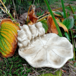 7004 Poidełko z żabkami