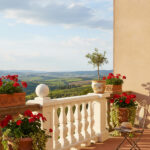 7803 Tralki Nieborów LOGO