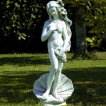 1554 Wenus w muszli