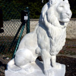 1595 Lew Wielki prawy