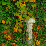 3006 Kolumna Jońska